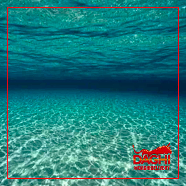 ¿QUÉ ES LA TALASOFOBIA Y CÓMO PUEDE SER CURADA?