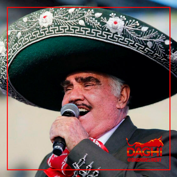 VICENTE FERNÁNDEZ SE RECUPERA LENTAMENTE TRAS ACCIDENTE EN SU RANCHO