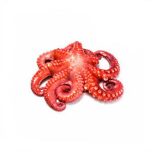 PULPO PREMIUM